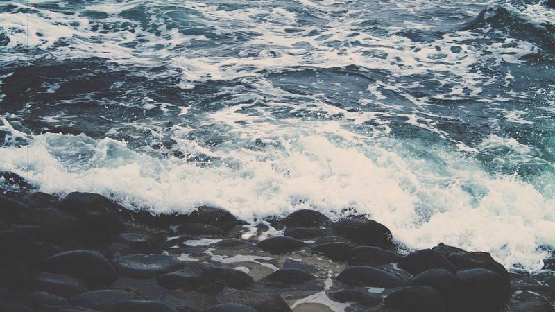 看i米高清内容库